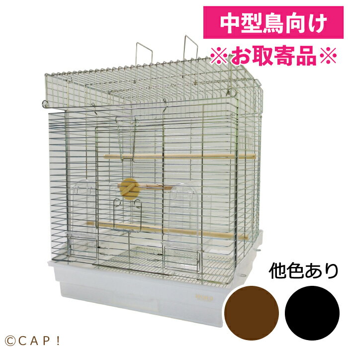 465オカメ※同梱不可※※受注後お取り寄せ品※通常よりもお時間をいただいております