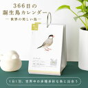 【いろは出版】366日の誕生鳥カレンダー ー世界の美しい鳥ー ※カレンダー※★