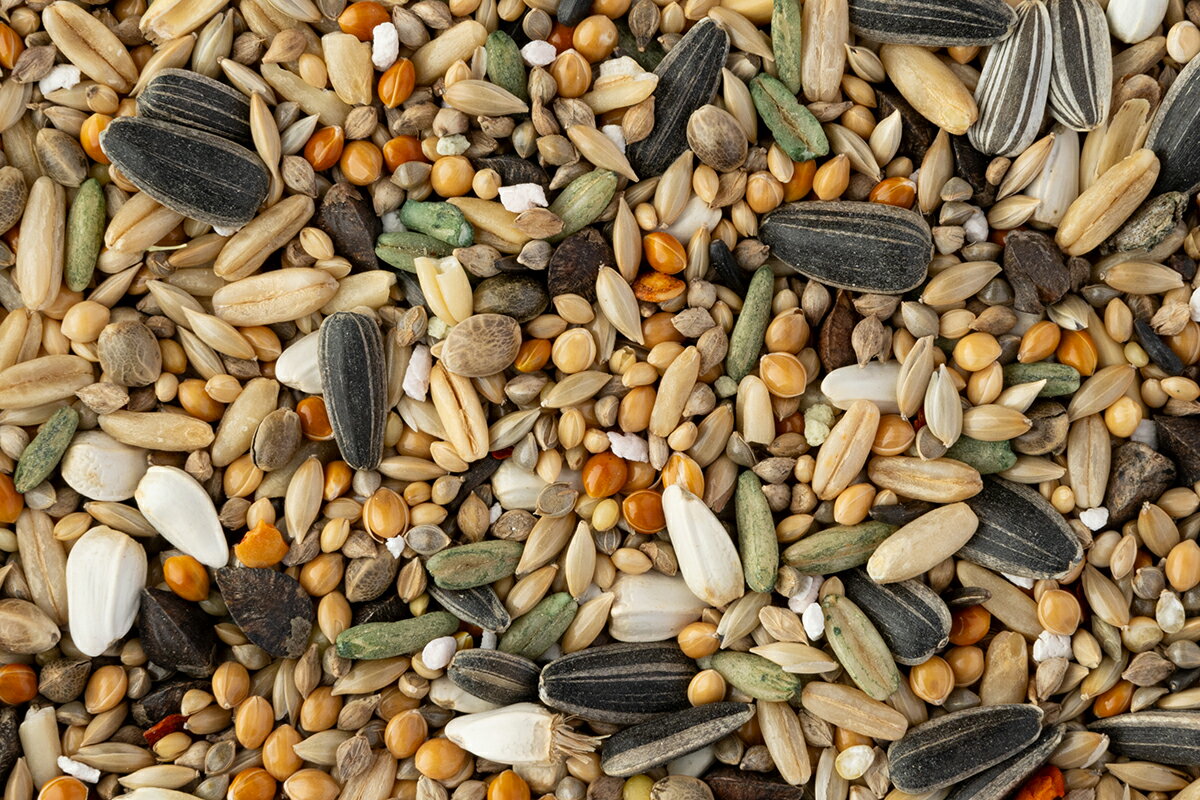 CAP! Ļ�α� ��̣����2027/5/31���淿1L���ڹ����ڥåȥա��ɡۥޥ˥� �淿�������� 1L(��710g��