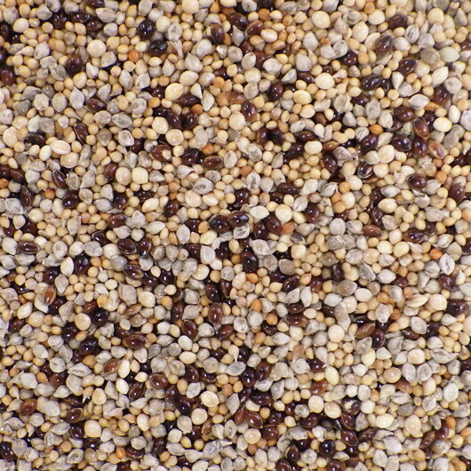 CAP! Ļ�α� ��̣����2027/4/30���翩3��ڹ����ڥåȥա��ɡ�KBS-02 �� ��Ļ�μ翩 3��֥��� 400g