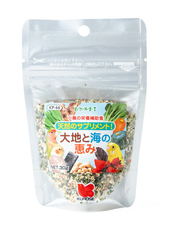 【恵みKP-66】CAP! 鳥の餌 賞味期限2026/12/31【黒瀬ペットフード】自然派宣言 大地と海の恵み 30gのサムネイル