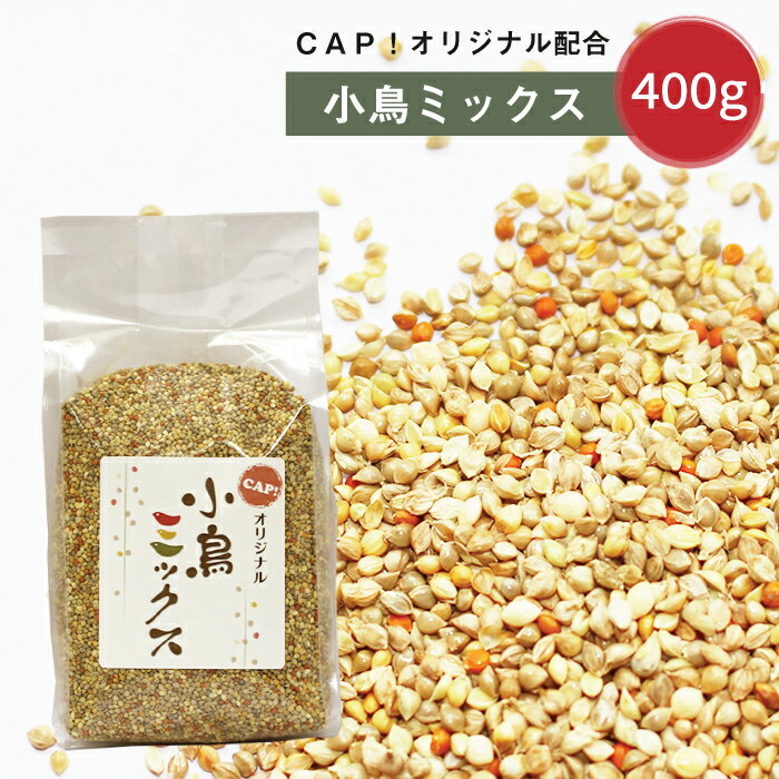 CAP! 鳥の餌 賞味期限2025/10/31 小鳥ミ