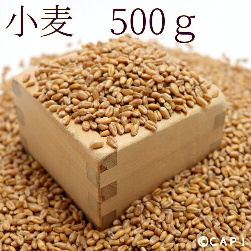 【国産】小麦　500g