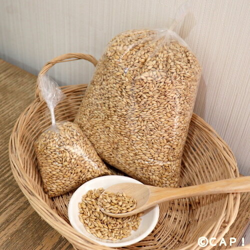 CAP! Ļ�α� ��̣����2027/6/30�ڹ��⻺������ 100g����