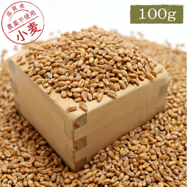 CAP! Ļα ̣2025/11/30ڹ⻺۾ 100g