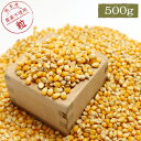 CAP! 鳥の餌 賞味期限2026/10/3とうもろこし(粒)500g ★