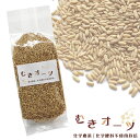CAP! 鳥の餌 賞味期限2025/11/14 むきオーツ300g 化学農薬・化学肥料不使用栽培品★