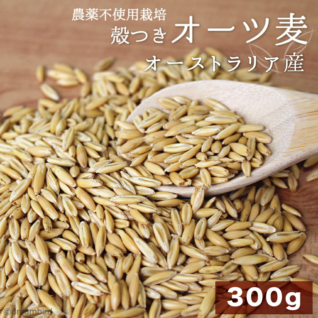 CAP! 鳥の餌 賞味期限2027/8/31　※MO300※【農薬不使用栽培】殻つきオーツ麦 300g★...