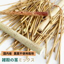 【国内産】農薬不使用栽培 カット茎ミックス 30g ★