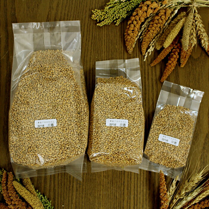 ��4/5�����������2�ͤ�1�͡�����100%�ݥ���ȥХå�&����P5�ܡ��ץ���ȥ꡼��CAP! Ļ�α� ��̣����2027/8/31�ڹ��⻺�۾��� 100g����