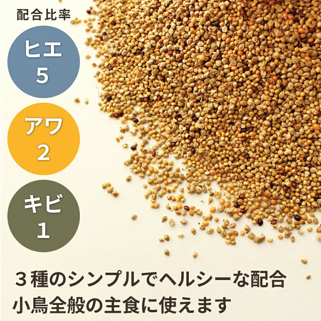 CAP! Ļ�α� ��̣����2027/8/31�ڹ��⻺�۾�Ļ�ߥå��� 500g 0020��