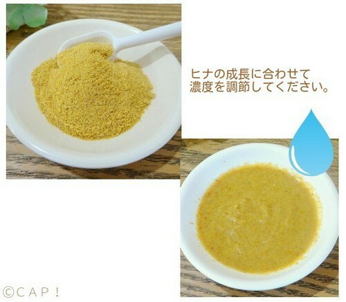 CAP! Ļ�α� ��̣����2026/12/9 �����ƥ��� �ϥ�ɥե����ǥ��� �ե����ߥ�� �١��ӡ��С��� 7.5oz/213g