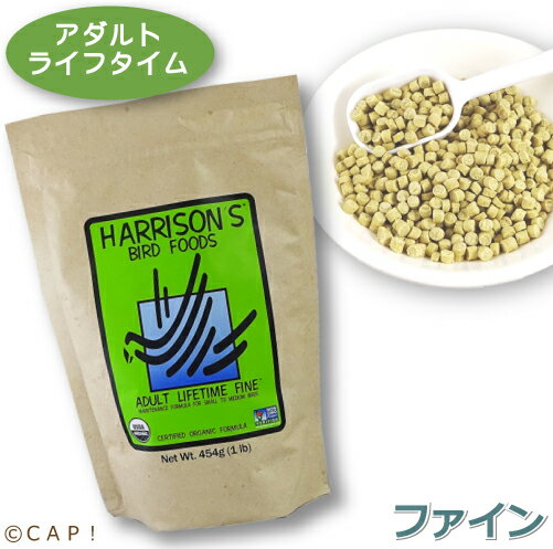 【エントリーでp10倍!】キョーリン キラピピ インコ中粒 600g 総合栄養食 ひかり菌 かしこ 換羽 羽つや オカメインコ 中型インコ 国産