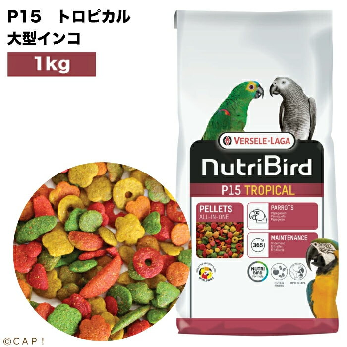 乐天商城 - 賞味期限2027/8/18※P15トロピカル・大1kg※【ヴァーセレ・ラガ】 ニュートリバード P15トロピカル(マルチカラー) 大型インコ 大袋 1kg