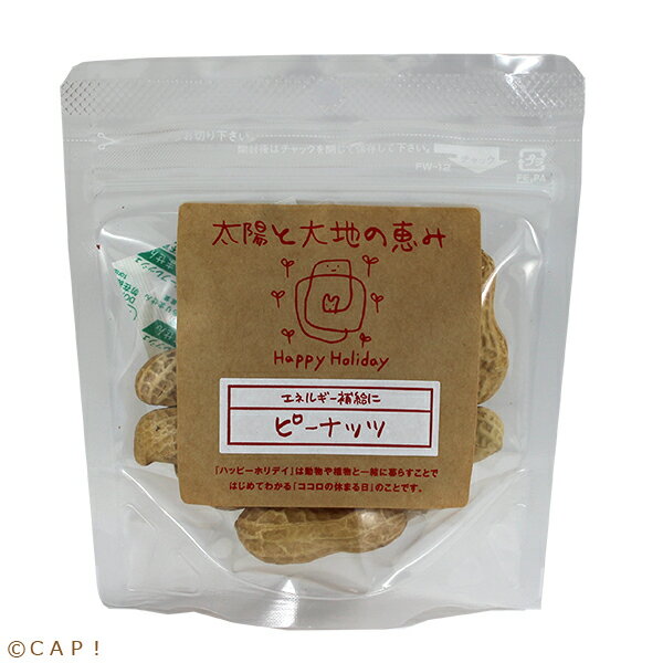 CAP! 鳥の餌 ※ピーナッツ※賞味期限2027/2/28 太陽と大地の恵み ピーナッツ 15粒