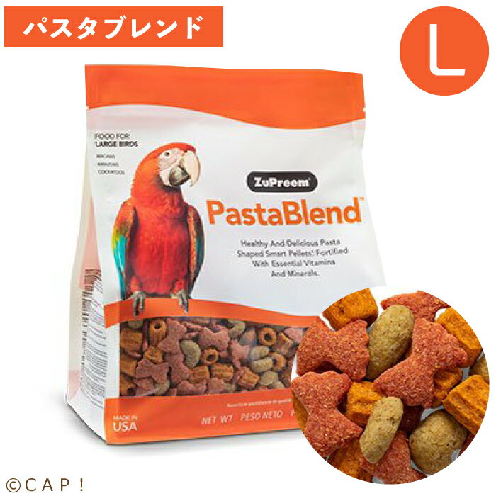 CAP! 鳥の餌 賞味期限2025/10/7 ズプリーム パスタブレンド Lラージバード 3#(1.4kg)