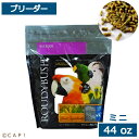 CAP 鳥の餌 賞味期限2025/11/17ラウディブッシュ ブリーダー ミニ 44oz(1.25kg)