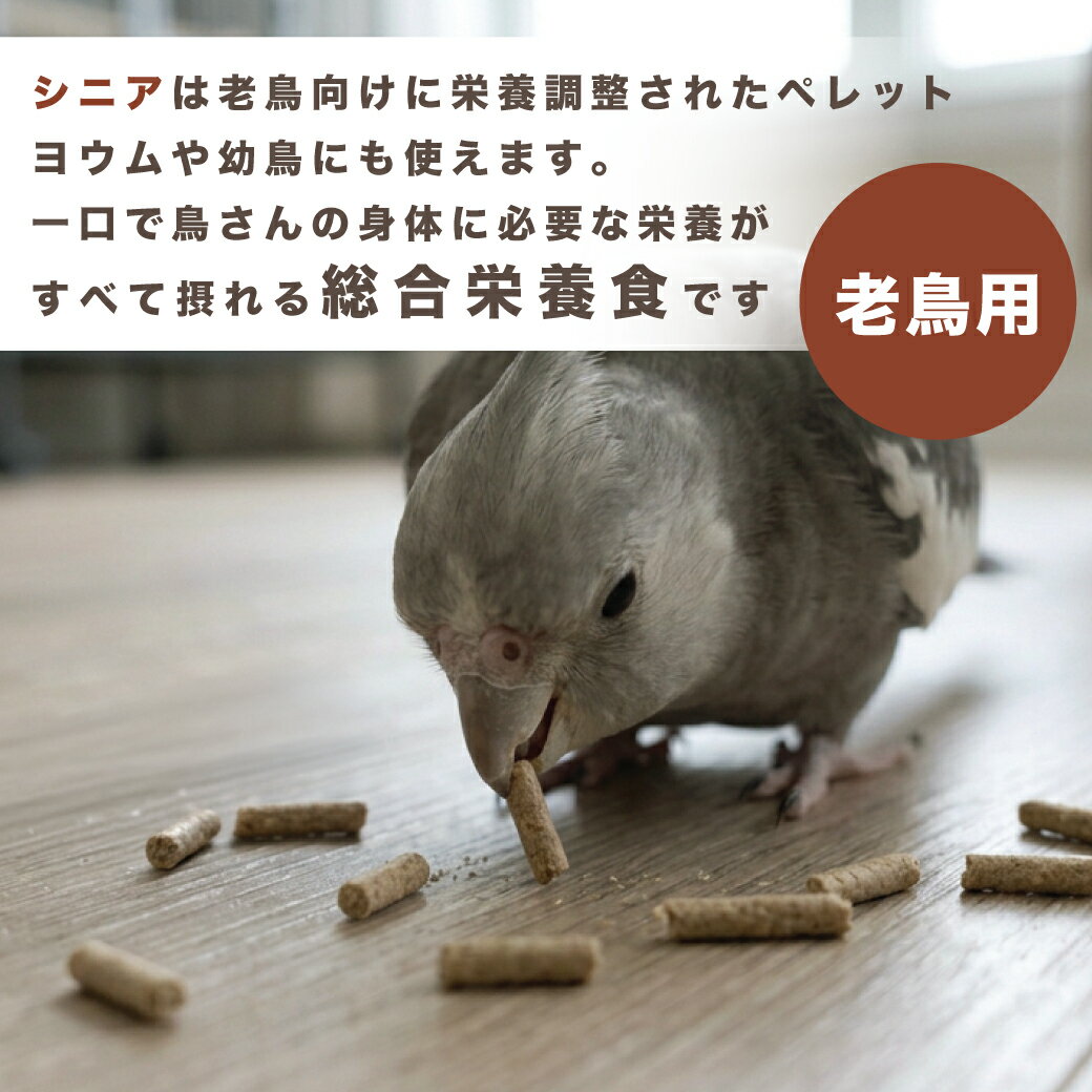 【4/15限定＼抽選で2人に1人/最大100%...の紹介画像2