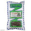 西種商店 ソバの実 500g