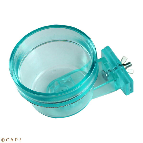 【Wyld's Wingdom】#0510 Quick-Lock 10oz (296ml)　アクアグリーン（critter brites）