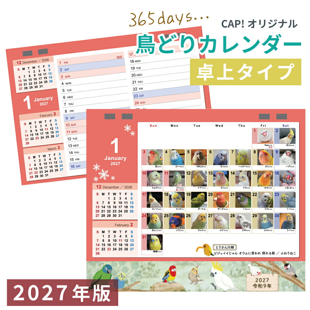製品画像：28位