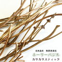 CAP! 鳥の餌 【ホーリーバジル】カリカリスティック ※枝※★