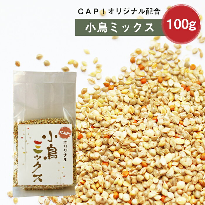 CAP! ̉a ܖ2025/10/31~bNX 100g