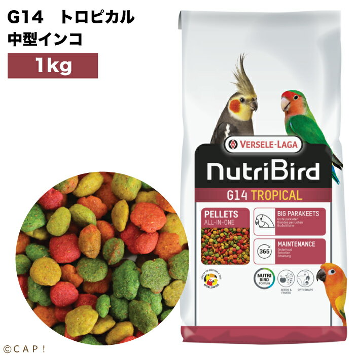賞味期限2027/4/12※ G14トロピカル・大1kg※ 【ヴァーセレ・ラガ】ニュートリバード G14トロピカル 中型インコ 大袋 1kg