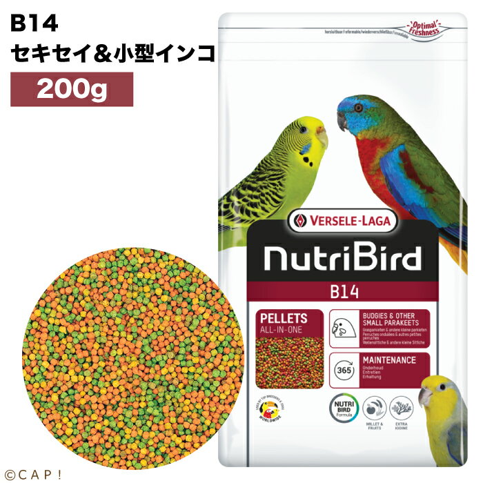 Rakuten - 賞味期限2027/5/31※B14小・200g※【ヴァーセレ・ラガ】ニュートリバード B14 セキセイ&小型インコ 小袋 200g