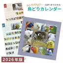 2026年版365days... 鳥どりカレンダー <壁掛け>★