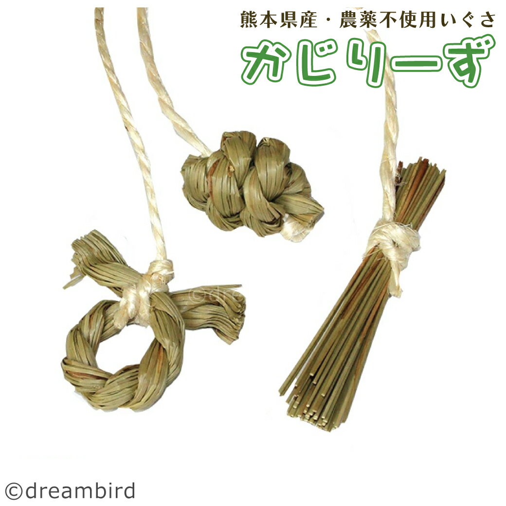 かじりーず　びぎなーず3