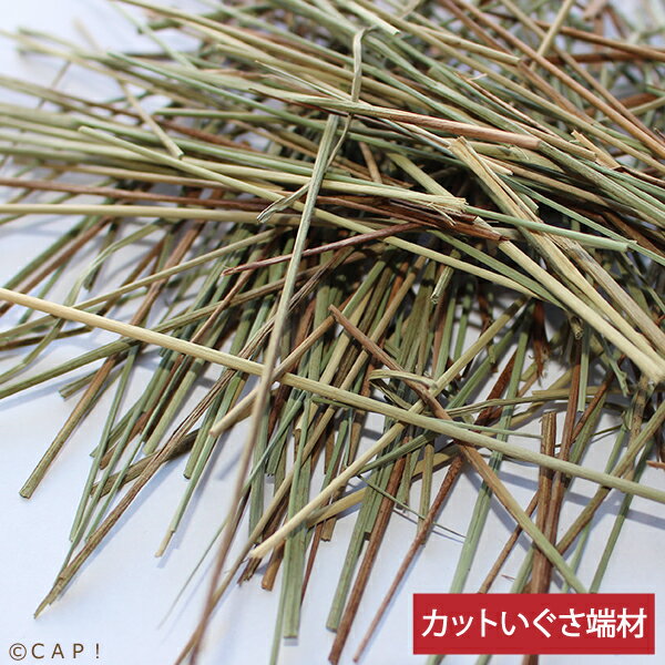 ꡼åȤüࡡ15g