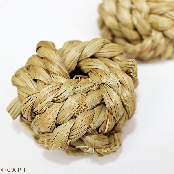 かじりーず　ボールM 2