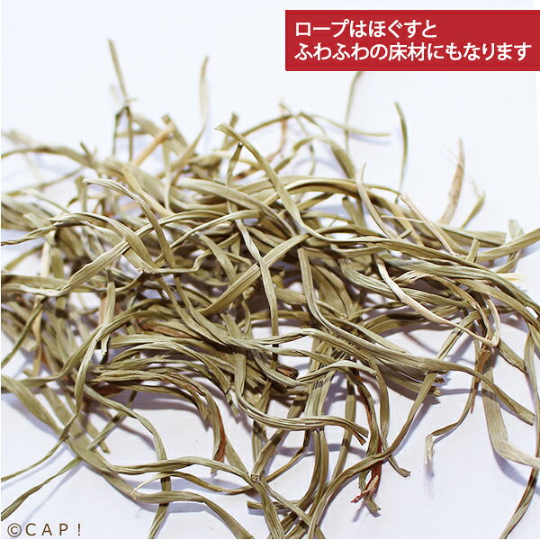 かじりーず　いぐさロープ端材　50g
