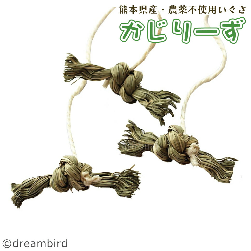 かじりーず あめちゃん三昧