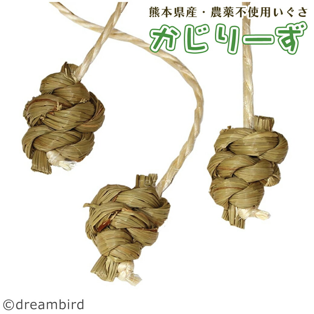 かじりーず　ボール三昧