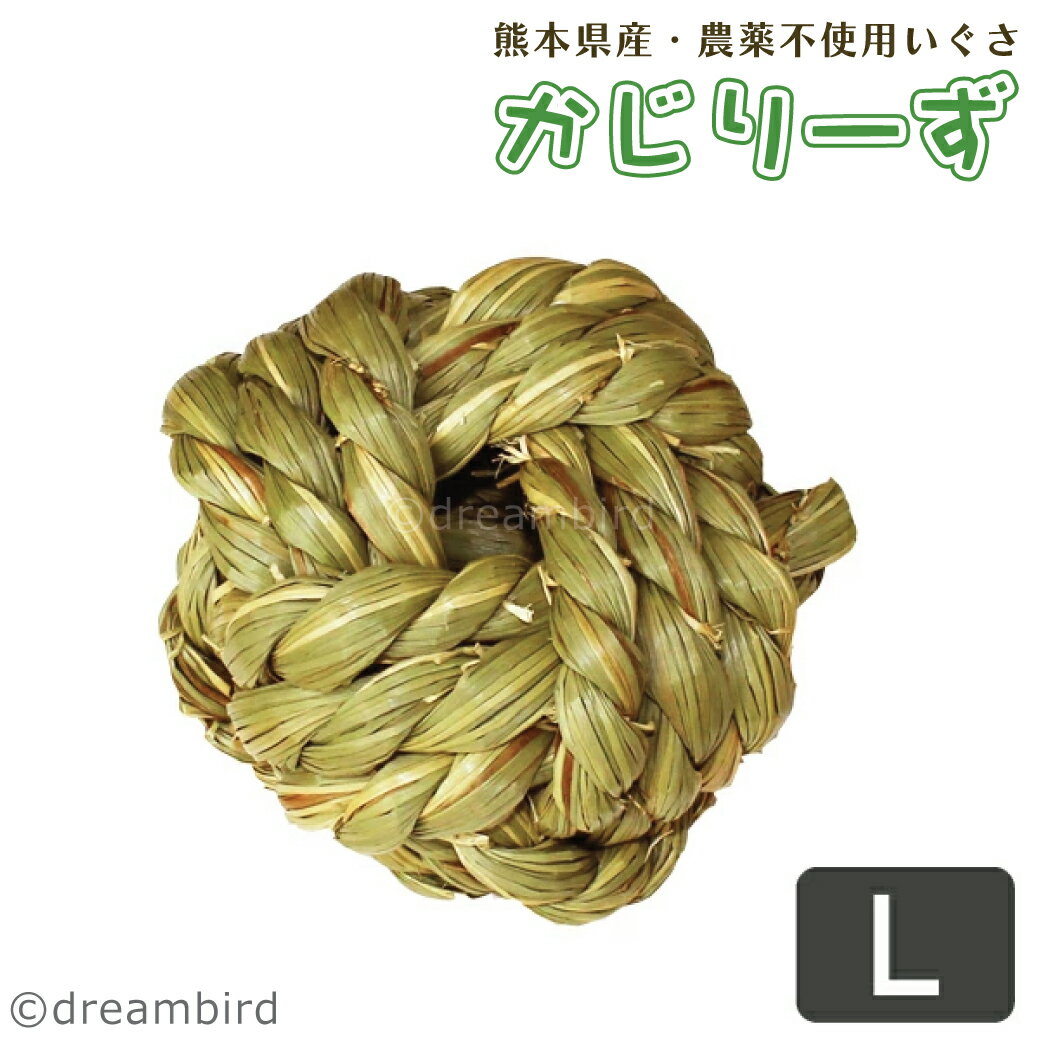 かじりーず　ボールL