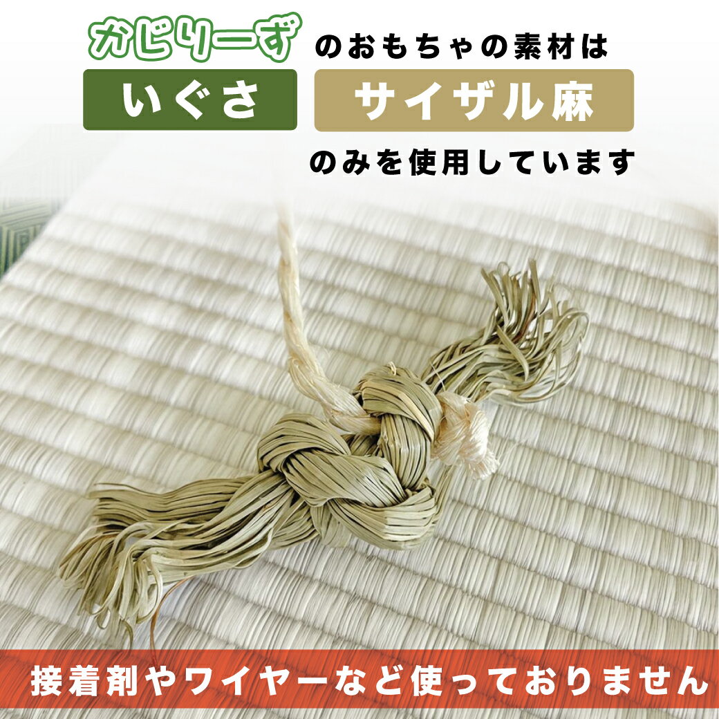 ��3/5�����������2�ͤ�1�͡�����100%�ݥ���ȥХå�&����P5�ܡ��ץ���ȥ꡼�ۤ����꡼�� ������������ľ��5mm x3M