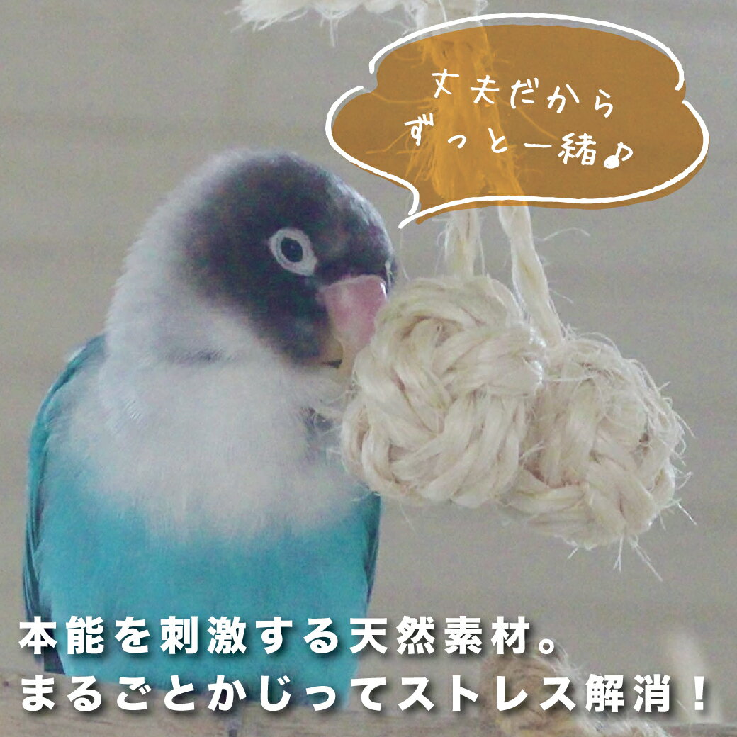 かじりーず さくらんボールの紹介画像3
