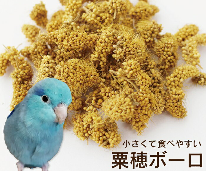 CAP! 鳥の餌 賞味期限2025/10/31 熊本県産 有機JAS認定品 粟穂ボーロ 30g