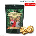 CAP! 鳥の餌 賞味期限2026/10/16 ラフィーバー トロピカルフルーツ マコウ(10oz/284g)