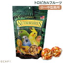 CAP! 鳥の餌 賞味期限2025/5/28ラフィーバー トロピカルフルーツ オカメインコ (10oz/284g)