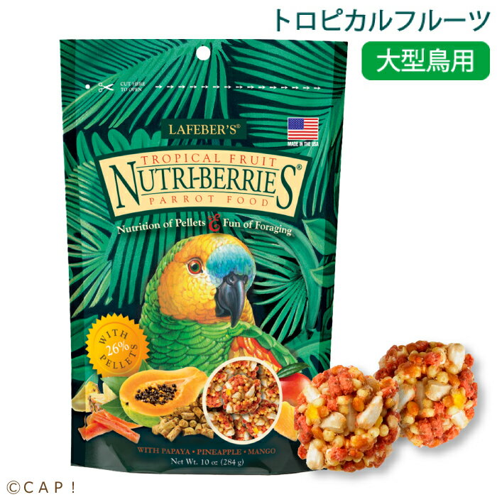 CAP! 鳥の餌 賞味期限2025/7/11 ラフィーバー トロピカルフルーツ パロット 10oz/284g 