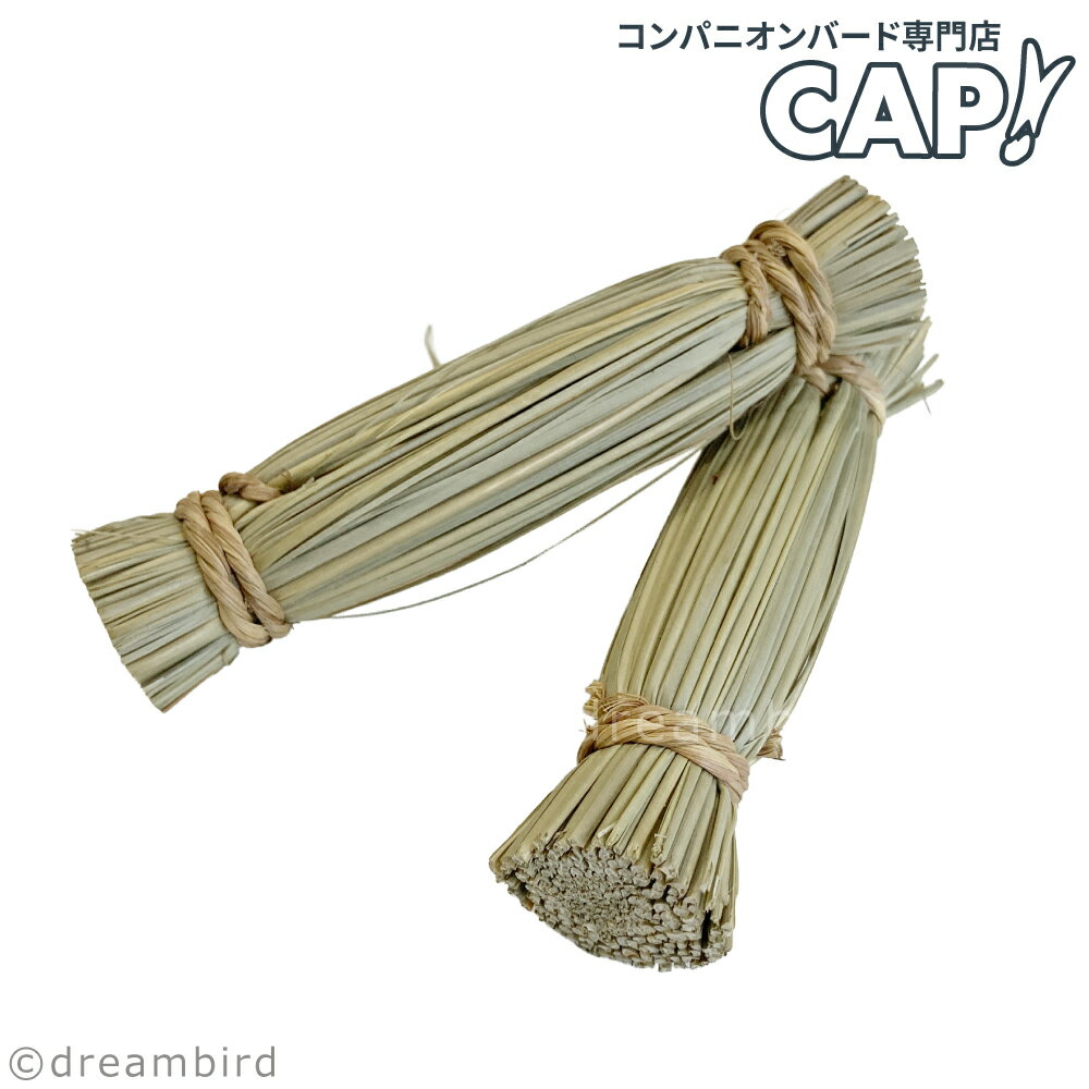 Rakuten - 【Parts】10cm Grass Bundle 1本 SB★
