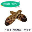 【Parts】Mahogany Pod 1個 ※ポッド※★