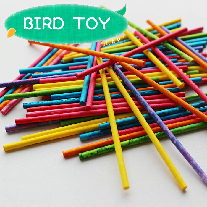 【4/5限定＼抽選で2人に1人／最大100%ポイントバック&全品P5倍★要エントリー】61402【パーツ】Sm Lollipop Stick 20g★