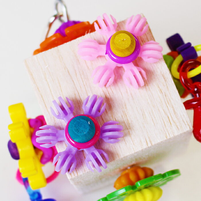 �ں߸˽�ʬ�ԡ�SB1174 Dancing Daisies