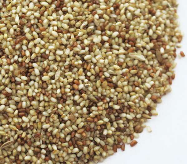 CAP! 鳥の餌 賞味期限2023/9/30【とりきち横丁】【無農薬】ビオ・バードテフ 50g★のサムネイル