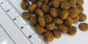 �ں���10%OFF�����ݥ�������ۡڵ��Ϥ���ġ�̵ź�á����쥤��ե꡼�˥ץ쥼�������ۥե��å���4�ɥå����ե����ͥ��ȡ�������󡡾�γ��3kg����FISH4DOGS��