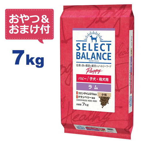 【おやつ＆おまけ付き♪】セレクトバランス パピー ラム 小粒 7kg　子犬・母犬用 【送料無料】【Select Balance セレ…